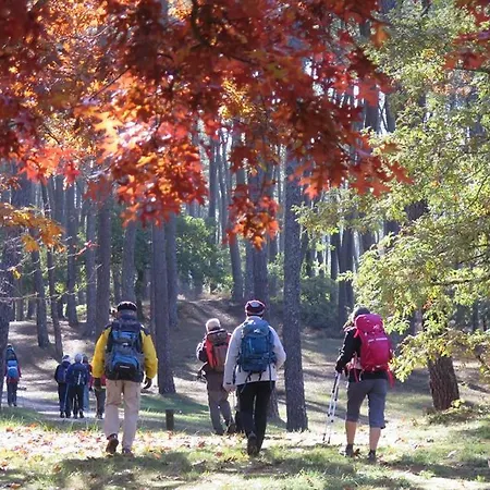 La Morey Semesterbostad